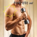 디클리셰 이미지