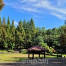 피크닉장 이미지