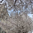 대구선동촌공원3 이미지