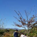 노고지리산방