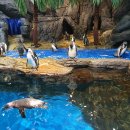 작은동물원수족관 이미지