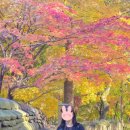 두륜산도립공원 관리사무소 이미지