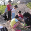 정빈농장 이미지