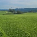 이지그린(주) 이미지