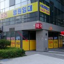 수정-113 이미지