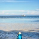 이준열대어 이미지