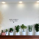 꽃을;보다 이미지