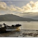 더리미장어마을 이미지