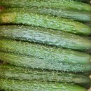 대송상회 이미지