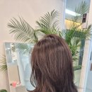 대경컨설팅 | 목동헤어컨설팅 리얼드살롱 목동점 인정디자이너 염색 헤드스파후기