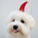 몽크의 아뜰리에 이미지