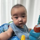 인시안