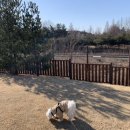 모당공원 화장실 이미지