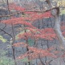 둥지여인숙 - 보령시 현대상가길 36 | 둥지여인숙