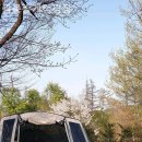 광릉솔개캠핑장 | 포천캠핑장 광릉솔개캠핑장 글램핑 불멍까지