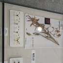 성신여자대학교 자연사박물관 이미지