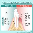 다짐치과의원 이미지