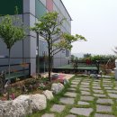 오경덕미술관 Daum카페