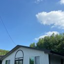 마이심포니오케스트라 1박2일 펜션에서 음악캠프 후기 입니다 :)