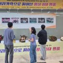 횡성군청 미디어투데이