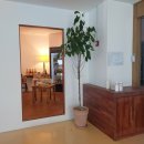 옥정달빛 이미지