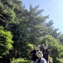 꽁지네일 | 제천 리솜 레스트리 스파 후기 🌿 세 모녀가 함께한 사상체질 스파 체험까지 🤍