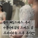 청주 웨딩드레스 르마리아쥬 드투 후기ლ 청주웨딩드레스대여