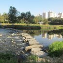 분당-323 이미지