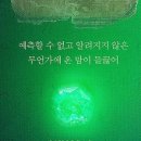 글로벌 K-뮤지컬 마리 퀴리 네이버블로그