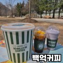 [카페공부] 강남대디저트카페 백억커피 강남대점 포장 후기
