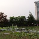 새소리유치원 이미지