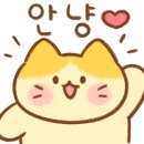 리코타니