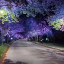 국제리조텔 이미지