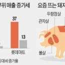 인살롱 이미지