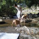 땡큐펜션 이미지