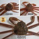 박달착한수산 이미지