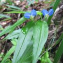 비엔나모텔 이미지