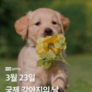 데일리샵 이미지