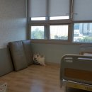 꿈나무아동병원 이미지