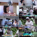 석삼 뉴스엔