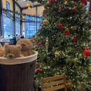 봄비어린이공원 | 26.01 사과가 되지말고 도마도가 되라