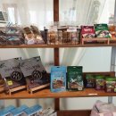 워킹페코 이미지