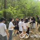 봉정초교 이미지