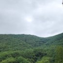 강화점기아오토큐(강화점) | 기아오토큐 고객센터, 왜 많은 운전자들이 선택할까?