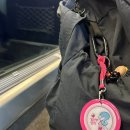 창신종로약국 | 23주-24주: 오랜만에 서울, 귀염둥이 동생 생일, 아기옷과 초코에 빠진 일상‼️