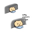 멍머니