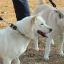 경북대학교부속의원 이미지