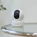 비젼아이테크 | 10년차 PD 맛플릭스의 테크 리뷰: 반려식물 야간 관찰...TY1 홈캠 후기 (홈CCTV / 홈카메라 / CCTV...