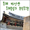 부산의 벚꽃명소-동래 마안산 동래읍성길과 복천동고분 이미지