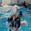 파티앤피크닉 | 원주 아이들과 가볼만한 곳 행복앤피크닉 내돈내산 후기